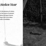 The Stolen Year