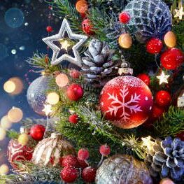 BBA Christmas 2025 Timetable